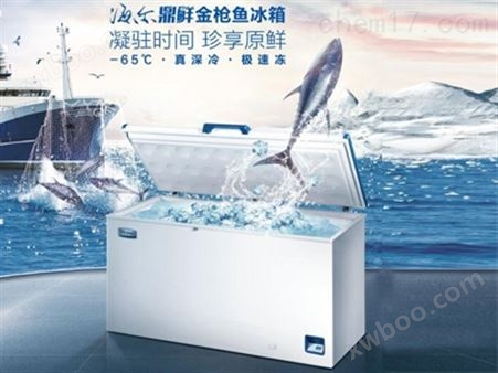 389升 深海鱼类 冷藏冷冻箱 DW-60W389