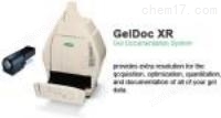 美国伯乐 GelDoc XR+凝胶成像分析系统