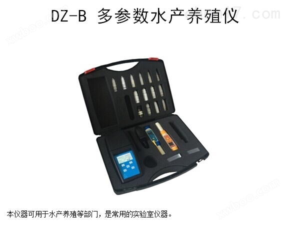 泳池内尿素测量DZ-Y泳池6参数水质分析仪