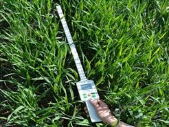 FS-PAR玉米冠层分析仪 农作物冠层测试仪