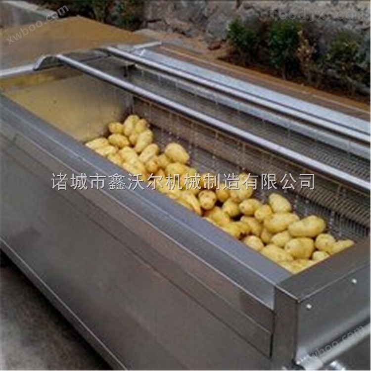 600型红薯毛辊清洗机 土豆清洗设备