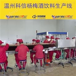 成套杨梅酒饮料生产线设备厂家温州科信