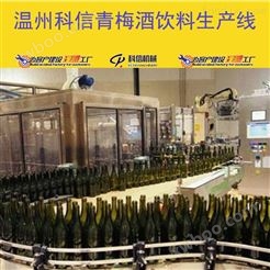 大型玻璃瓶装青梅酒生产流水线设备价格|全自动青梅酒酿制设备厂家