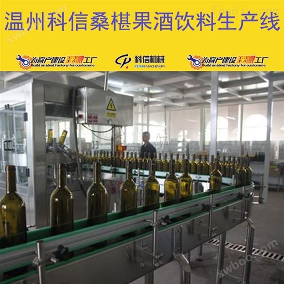 成套玻璃瓶装桑葚酒生产流水线设备价格|全自动桑葚果酒发酵设备厂家