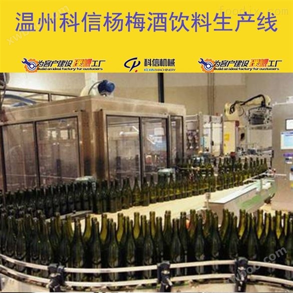 全套玻璃瓶装杨梅酒生产流水线设备价格|全自动杨梅果酒灌装机械设备厂家