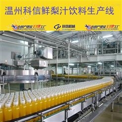整套刺梨汁饮料制作设备价格|新型鲜梨汁饮料灌装生产线设备厂家
