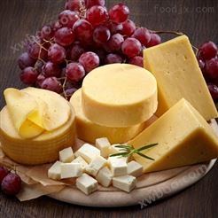 什么是奶酪设备生产线