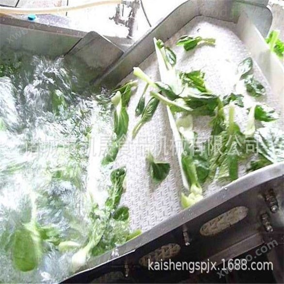 蔬菜水果草药清洗机