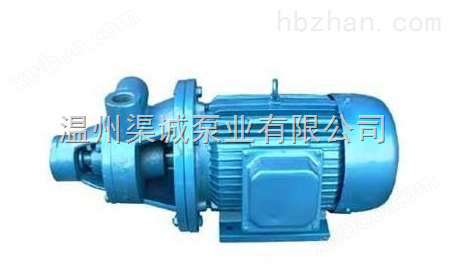 温州品牌1W型单级旋涡泵