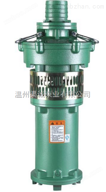 温州品牌QY型充油式潜水电泵