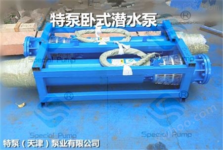 卧式潜水泵（厂家/价格/型号）