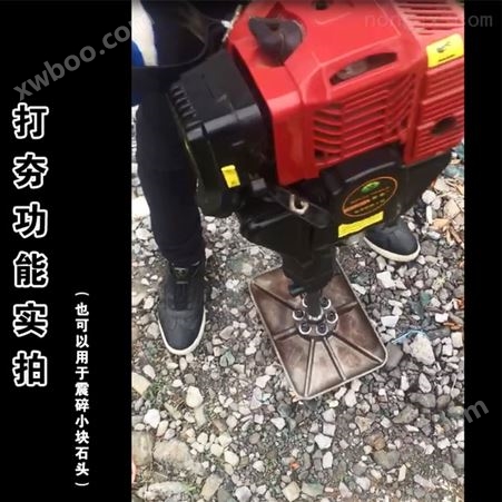 贵州新款带土球挖树机 起树铲油镐现货