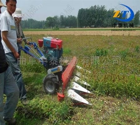 苍溪县手推式1.2米小麦割晒机 割倒艾草