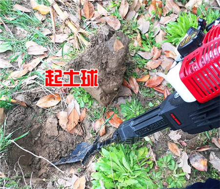 扬州市苗木起土球机 伐树挖树一体机