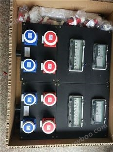 FMD-S黑色全塑三防照明配电箱-动力检修箱