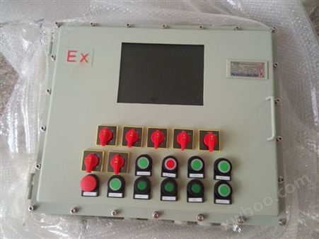BXK-CT4/CT6防爆仪表箱