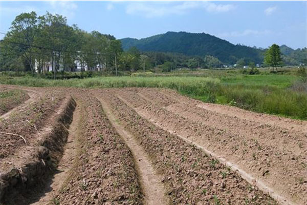 《四川省磷肥制造行业企业土壤污染隐患排查技术要点》印发