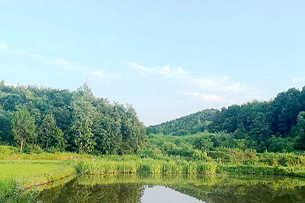 首季争优|常州：地方立法守护幸福河湖《常州市河道保护管理条例》出台