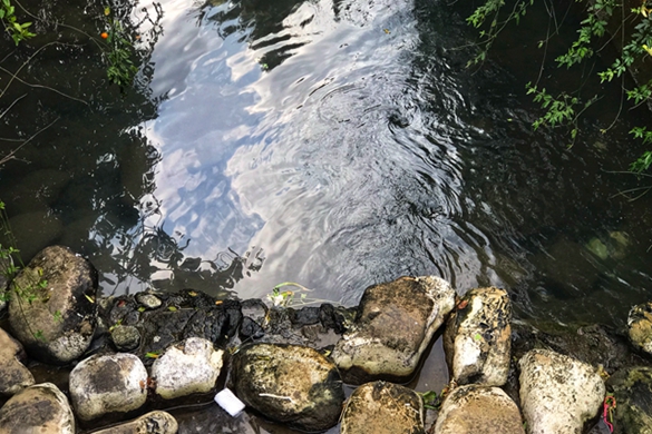 遂宁优化消费环境实施方案赋能行业发展